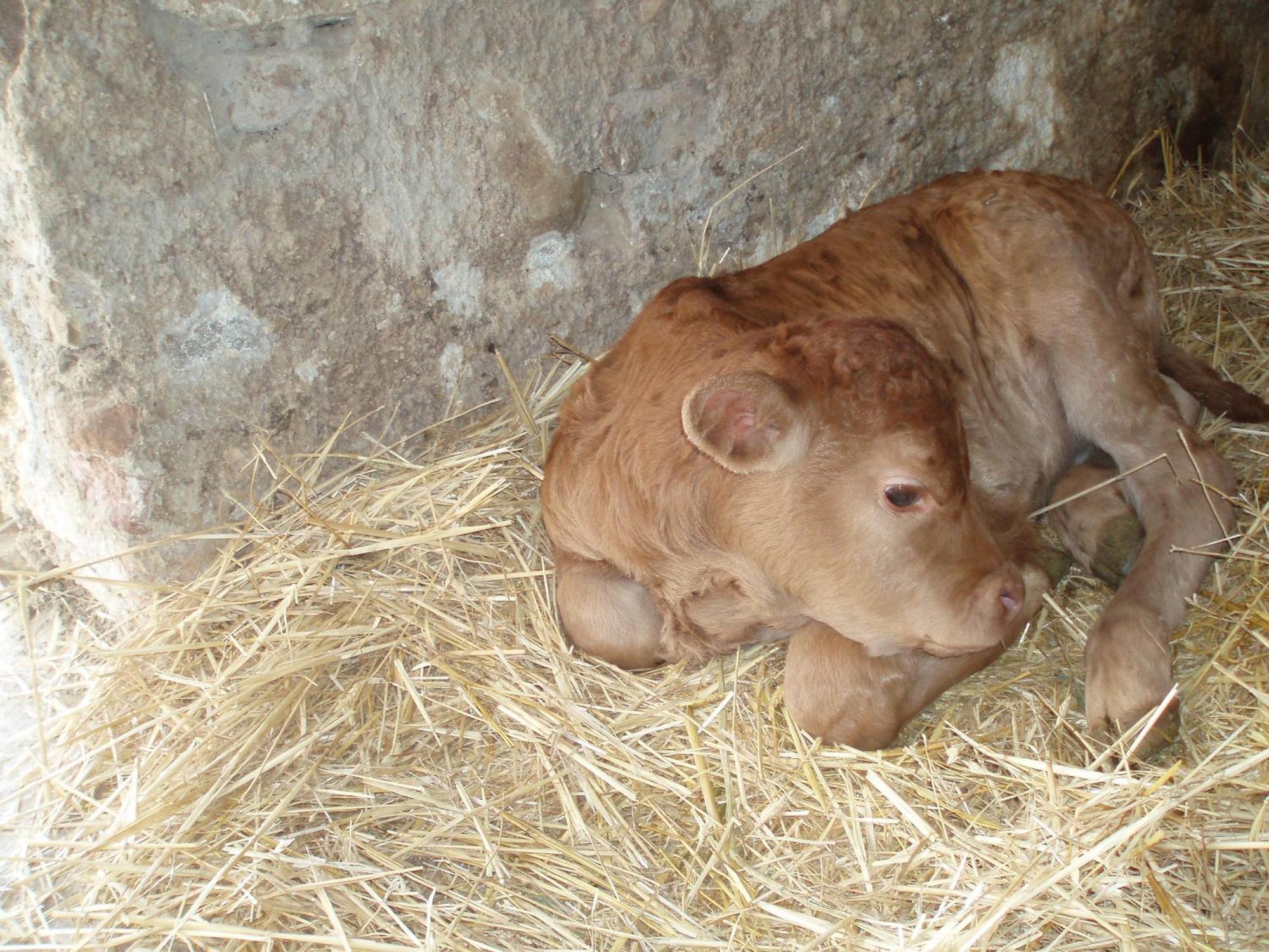 Agriturismo Il Crinale Castorano Kültér fotó